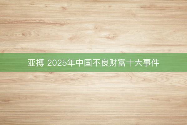 亚搏 2025年中国不良财富十大事件