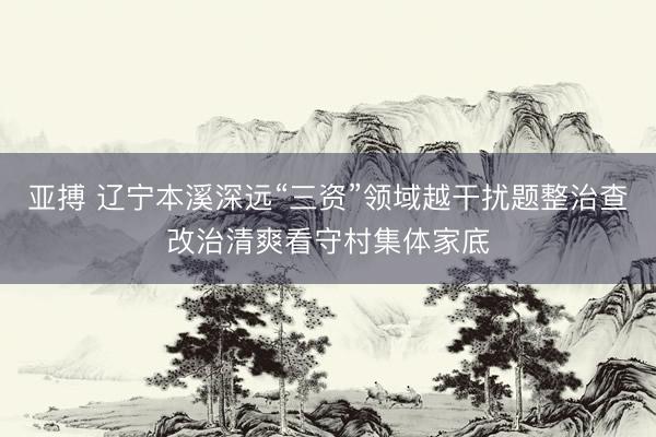 亚搏 辽宁本溪深远“三资”领域越干扰题整治查改治清爽看守村集体家底