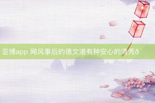 亚博app 飓风事后的德文港有种安心的清秀🌄